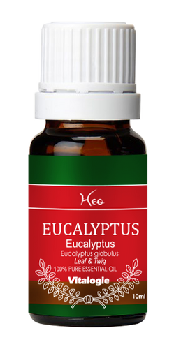 【HEQ】EUCALYPTUS 尤加利精油 10ml